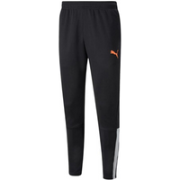 Puma teamLIGA Training Pants M 657242 45