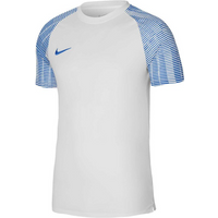 Nike Dri-FIT Academy Jsy SS M DH8031 102 T-shirt