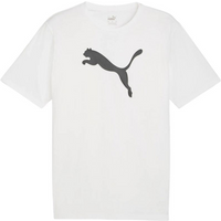 Puma Team Rise Logo Jersey Cotton M 658705 04