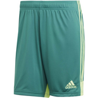 Adidas M Tastigo 19 Shorts DP3251 shorts