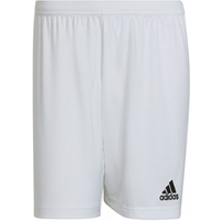 Adidas Entrada 22 M HG6295 shorts