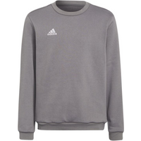 Adidas Entrada 22 Sweat Top Jr H57477 sweatshirt