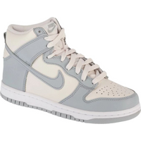 Nike Dunk High Bg W DB2179-009 shoes
