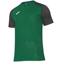 Joma Academy IV Sleeve football shirt 101968.451
