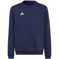 Sweatshirt adidas Entrada 22 Hoody Jr H57568
