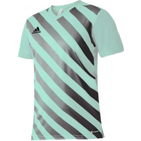 T-shirt adidas Entrada 22 Graphic Jersey M HF0119