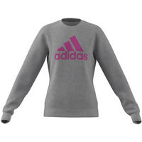 Sweatshirt adidas Big Logo Swt Jr IC6118