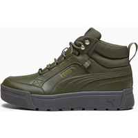 Puma Tarrenz SB III Puretex M 393930-03 shoes