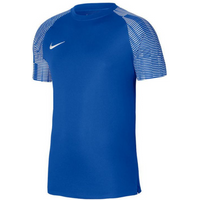 Nike Dri-Fit Academy SS M DH8031-463 T-shirt