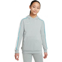 Nike NK Dry Academy Hoodie Po Fp JB Junior CZ0970-019 sweatshirt