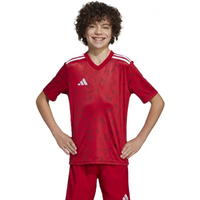 adidas Team Icon 25 Jr T-shirt JM8362
