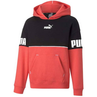 Puma Power Colorblock Jr sweatshirt 670205 35