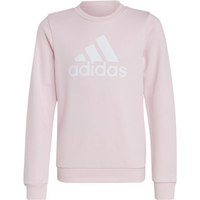 Sweatshirt adidas Big Logo Swt Jr IC6119