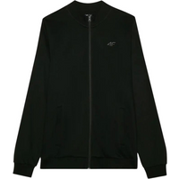 Sweatshirt 4F M1463 M 4FWMM00TSWSM1463 20S