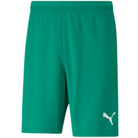Puma teamRISE Short M 704942 05