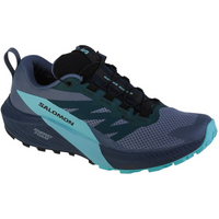 Shoes Salomon Sense Ride 5 GTX M 471474