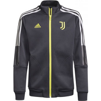 Sweatshirt adidas Juventus Turin Jr GR2908