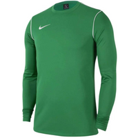 Nike Park 20 Crew Top Jr BV6875 010 sweatshirt