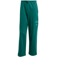 Adidas Collegiate M JM9178 Pants