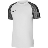 Nike Dri-Fit Academy SS M DH8031-104 T-shirt