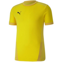 Puma teamGOAL 23 Jersey M 704171 07
