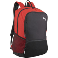 Puma Team Goal Premium backpack 90458 03