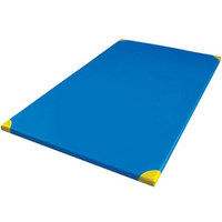 Polimat gymnastics mattress 10 cm MG10-120-P/A-80