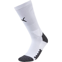 Puma Team LIGA Training Socks M 655666-04