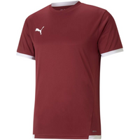 Puma teamLIGA Jersey M 704917 09