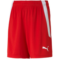 Puma teamLIGA Jr 704931 01 shorts