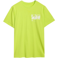 T-shirt 4F M2106 M 4FRSS24TTSHM2106 41N