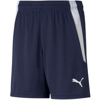Puma teamLIGA Shorts Jr 704931 06