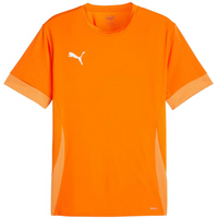 Puma teamGoal Matchday Jersey M 705747 08