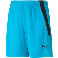 Puma teamLIGA Shorts Jr 704931 40