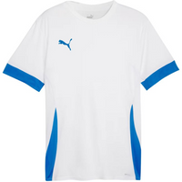 Puma teamGoal Matchday Jersey M 705747 12