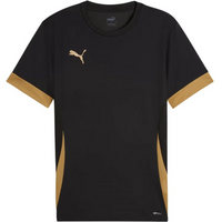 Puma teamGoal Matchday Jersey M 705747 28