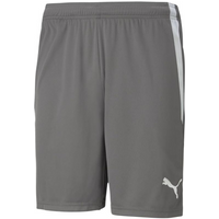 Puma teamLIGA M 704924 13 shorts