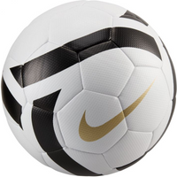 Nike Legacy Elite Team Ball HV6367-100