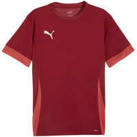 Puma teamGoal Matchday Jersey men's burgundy 705747 09