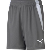 Puma teamLIGA Shorts Jr 704931 13
