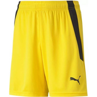 Puma teamLIGA Shorts Jr 704931 07