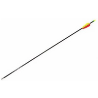 30" Poe Lang Fiberglass Arrow (VD-065K)