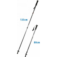 Classic silver trekking poles