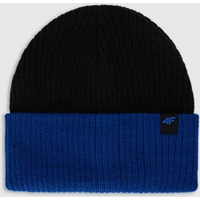Boy's winter hat 4F 4FJWAW25ACAPM600-36S
