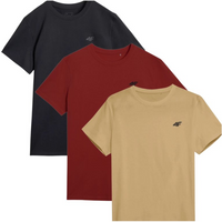 T-shirts 4F M 4FWSS25TTSHM3965-92S