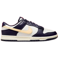 Nike Men's Dunk Low Retro Shoes FV8106-181