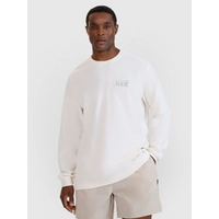 Men's oversize longsleeve with print 4F 4FWSS25TLONM390-11S