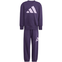 Kids' adidas Essentials Joggers purple tracksuit JW2439