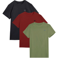 T-shirts 4F M 4FWSS25TTSHM3965-91S