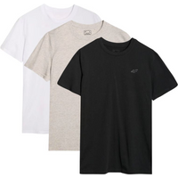 Men's T-shirt (3-Piece Set) 4F 3P-SS-4FWMM00TTSHM2256-91S 3PACK